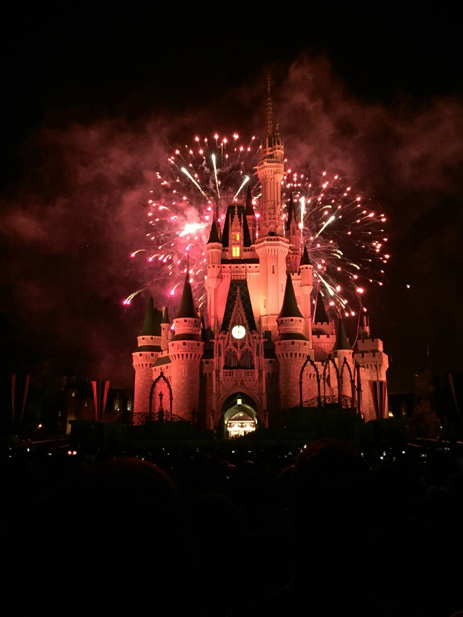 10257870_10204265775903993_8832020178666799928_o